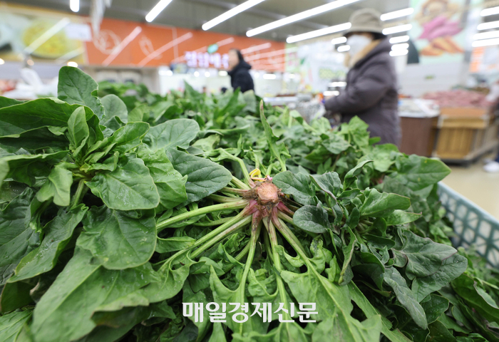 이맘 때 마트 곳곳에서 널어놓고 판매하는 거.jpg | 인스티즈