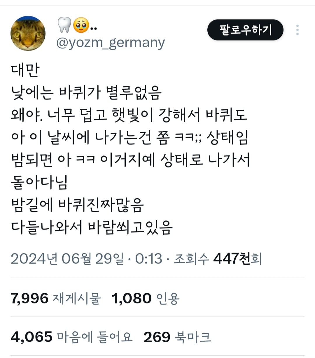 대만 낮에는 바퀴가 별루 없음 | 인스티즈