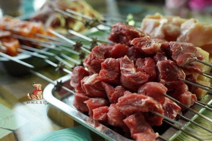 강아지 유치원의 수학여행 | 인스티즈