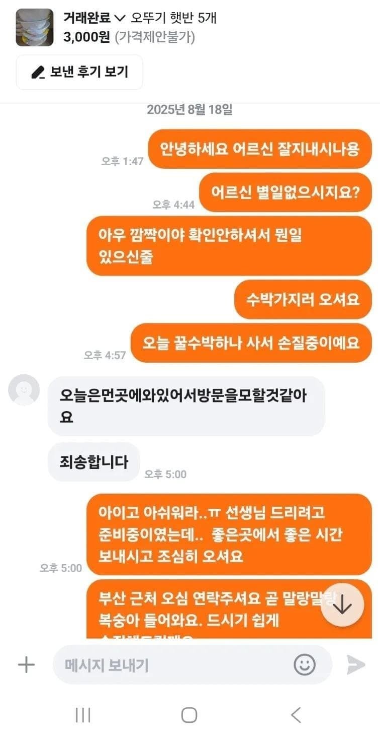 평화로운 당근마켓 | 인스티즈