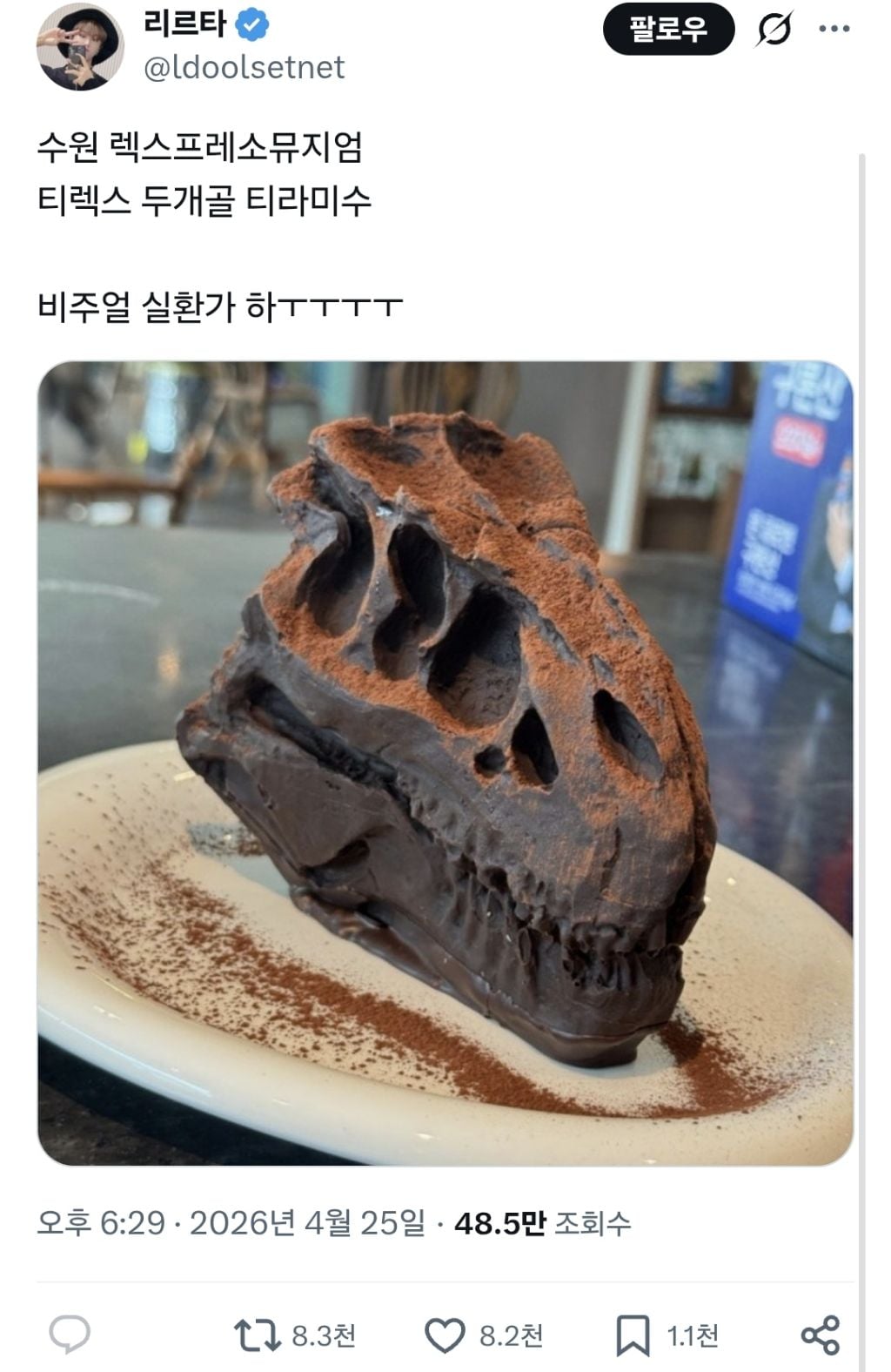 공룡 두개골 티라미수 | 인스티즈