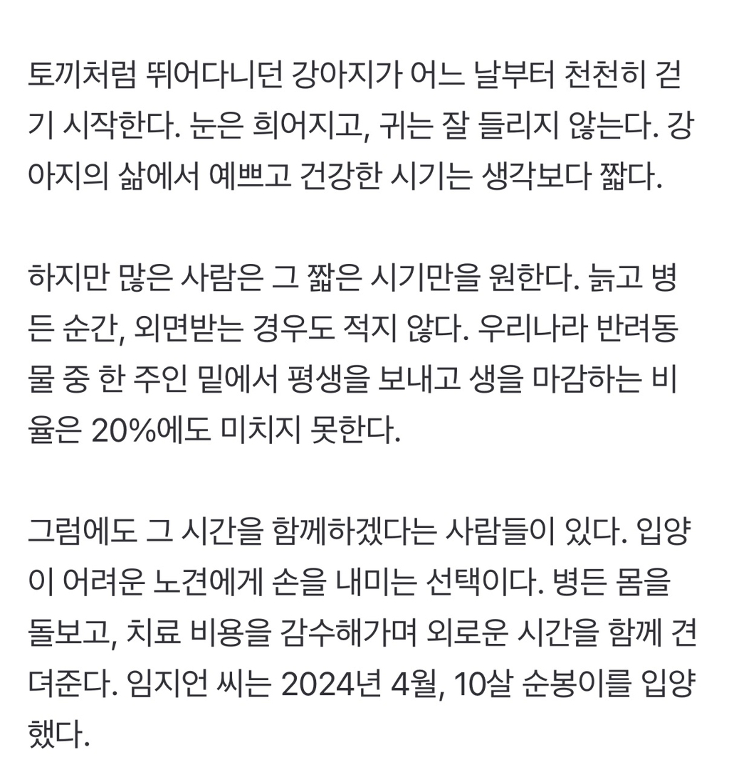 노견 입양·임보…"남은 생 배부르고 행복하게 해줄게" | 인스티즈