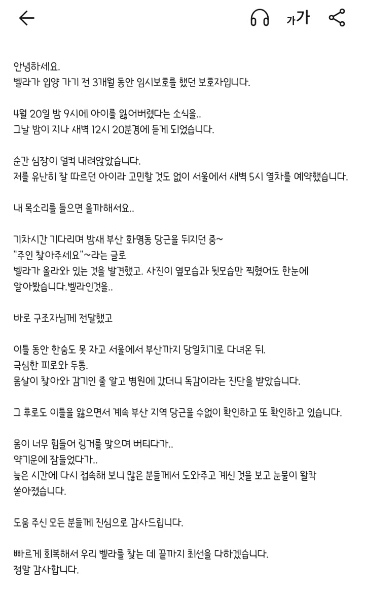 🚨입양자가 배변문제로 파양 의사 밝힌 지 두 시간 만에 유실한 벨라를 찾아요🚨 | 인스티즈