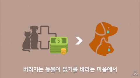 반려동물이 병원 갈때 들어가는 비용(ft. 주인의 경제력이 중요한 이유).jpg | 인스티즈