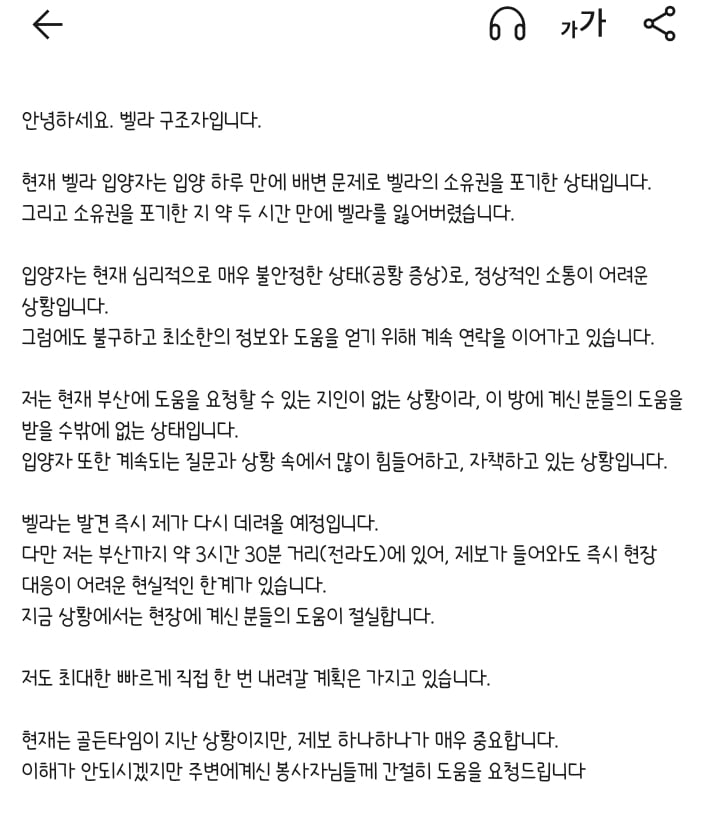🚨입양자가 배변문제로 파양 의사 밝힌 지 두 시간 만에 유실한 벨라를 찾아요🚨 | 인스티즈