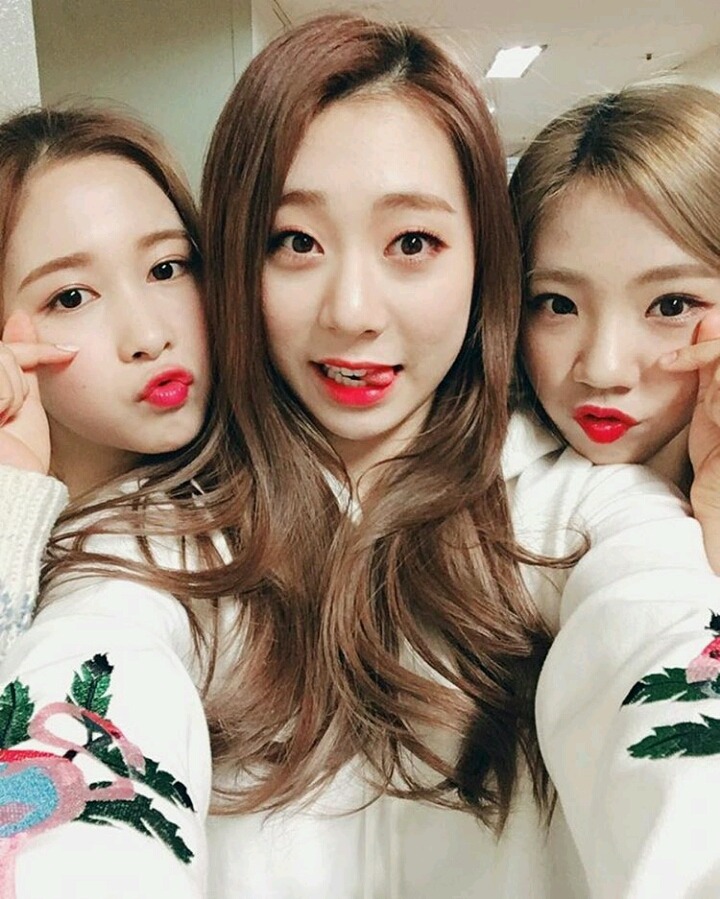 꽃길만 걷고싶은 그대들의 우주소녀 | 인스티즈