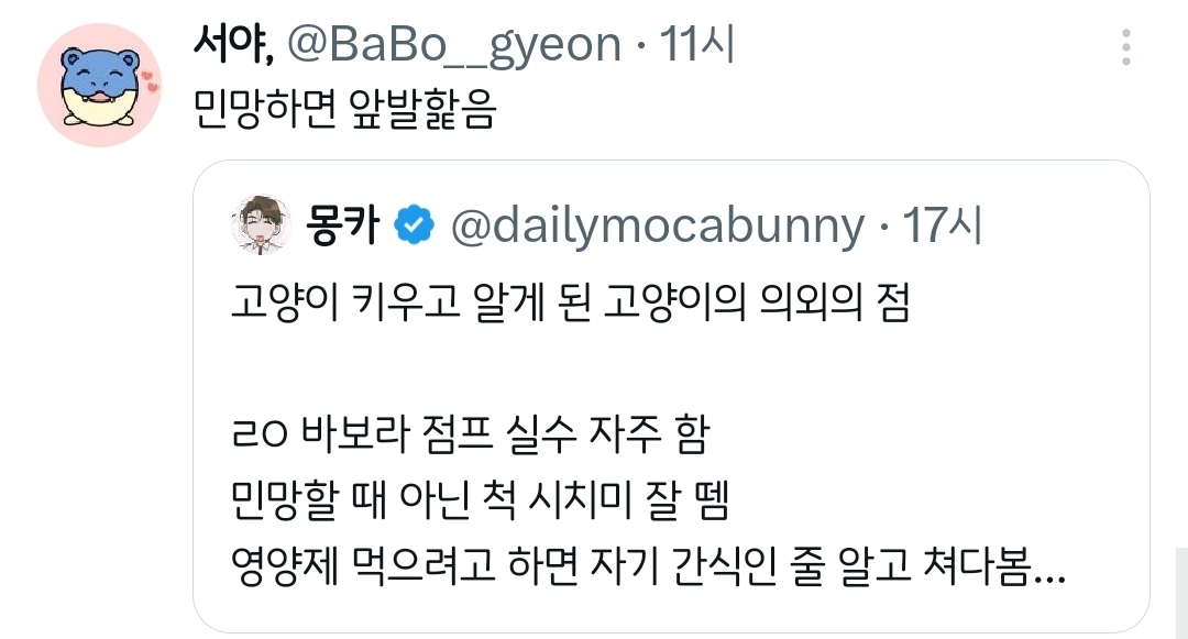 고양이 키우고 알게 된 고양이의 의외의 점.twt | 인스티즈