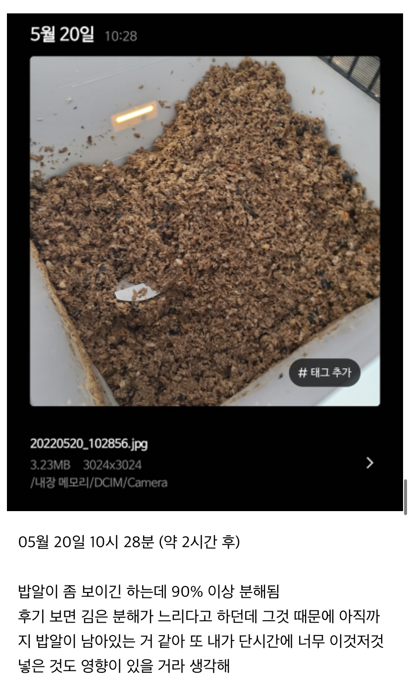 미생물 처리기에 음쓰 이것저것 많이 넣어본 후기 | 인스티즈
