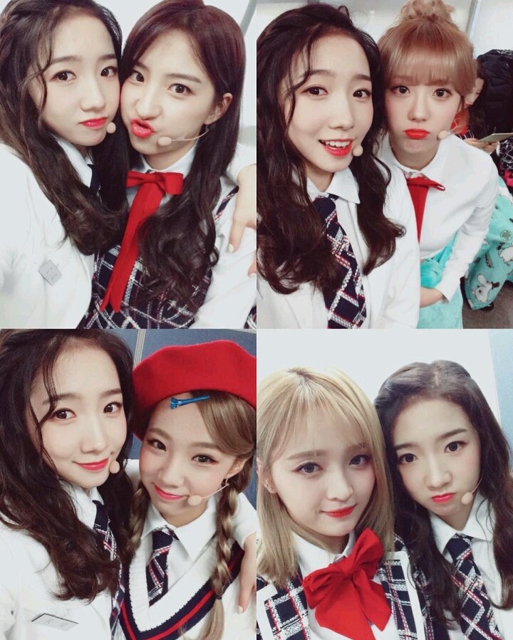 꽃길만 걷고싶은 그대들의 우주소녀 | 인스티즈