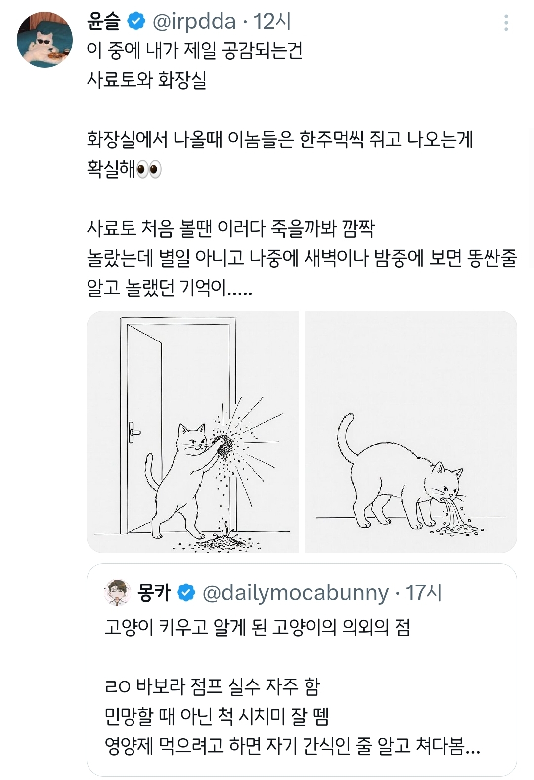 고양이 키우고 알게 된 고양이의 의외의 점.twt | 인스티즈