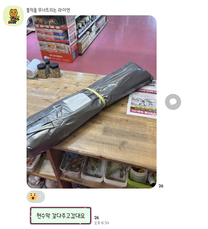 🚨입양자가 배변문제로 파양 의사 밝힌 지 두 시간 만에 유실한 벨라를 찾아요🚨 | 인스티즈
