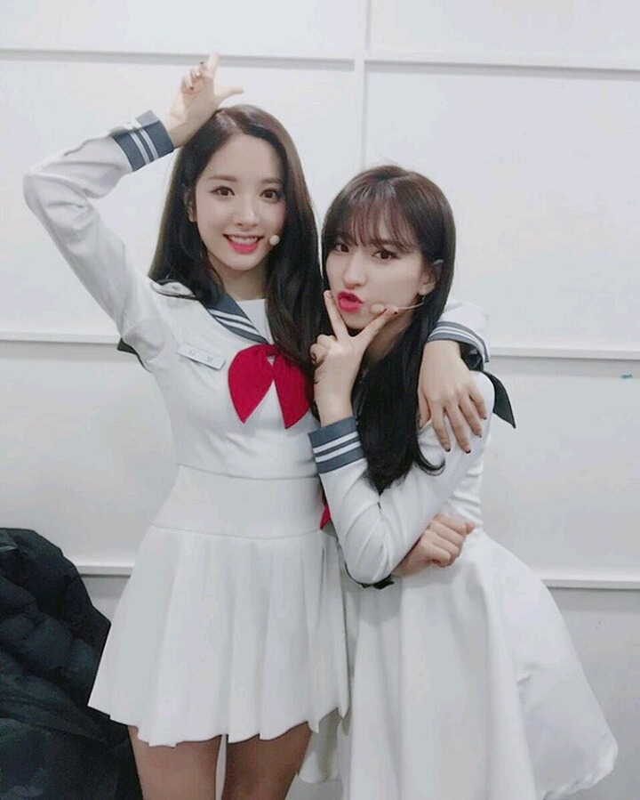 꽃길만 걷고싶은 그대들의 우주소녀 | 인스티즈
