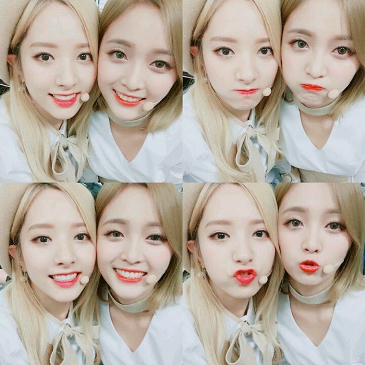 꽃길만 걷고싶은 그대들의 우주소녀 | 인스티즈