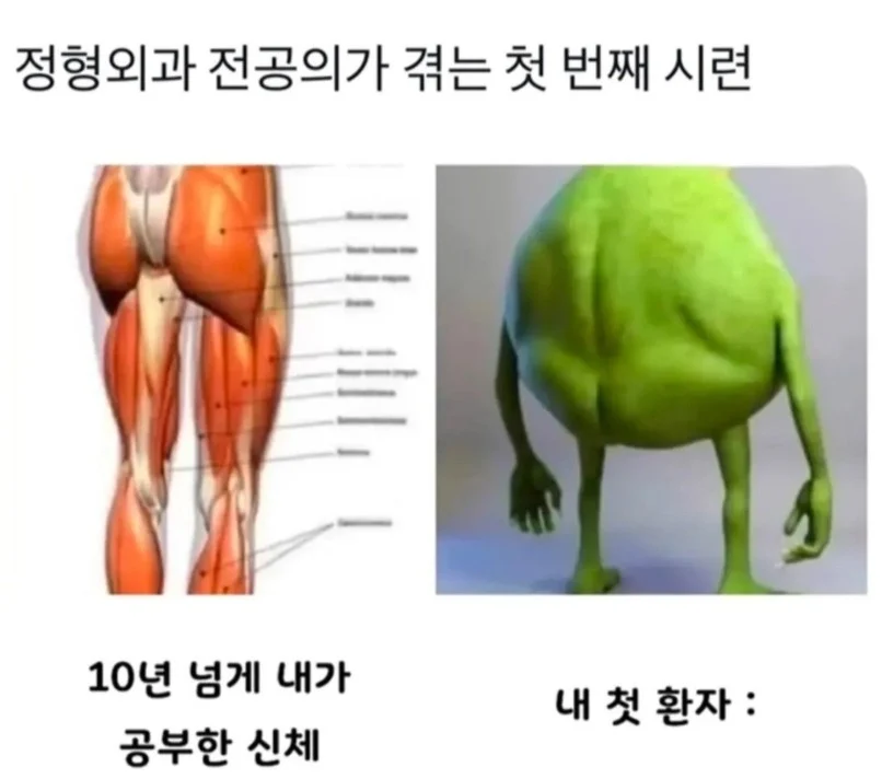 정형외과 전공의가 겪는 첫번째 시련 | 인스티즈