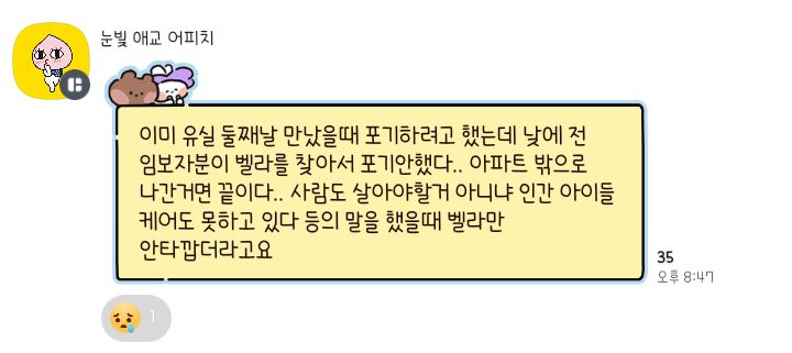 🚨입양자가 배변문제로 파양 의사 밝힌 지 두 시간 만에 유실한 벨라를 찾아요🚨 | 인스티즈