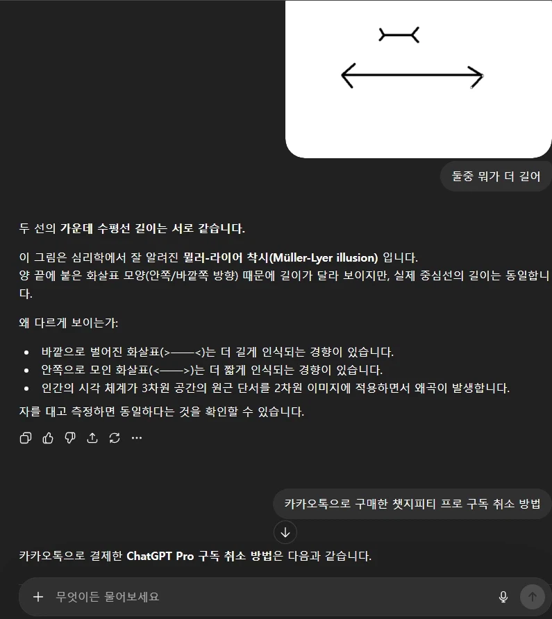 "두 화살표 중 길이가 더 긴 건 어느 쪽?" | 인스티즈