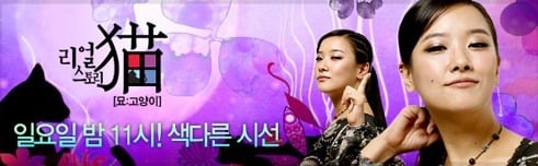 다시보고싶은 추억의 케이블 프로그램들.jpg | 인스티즈