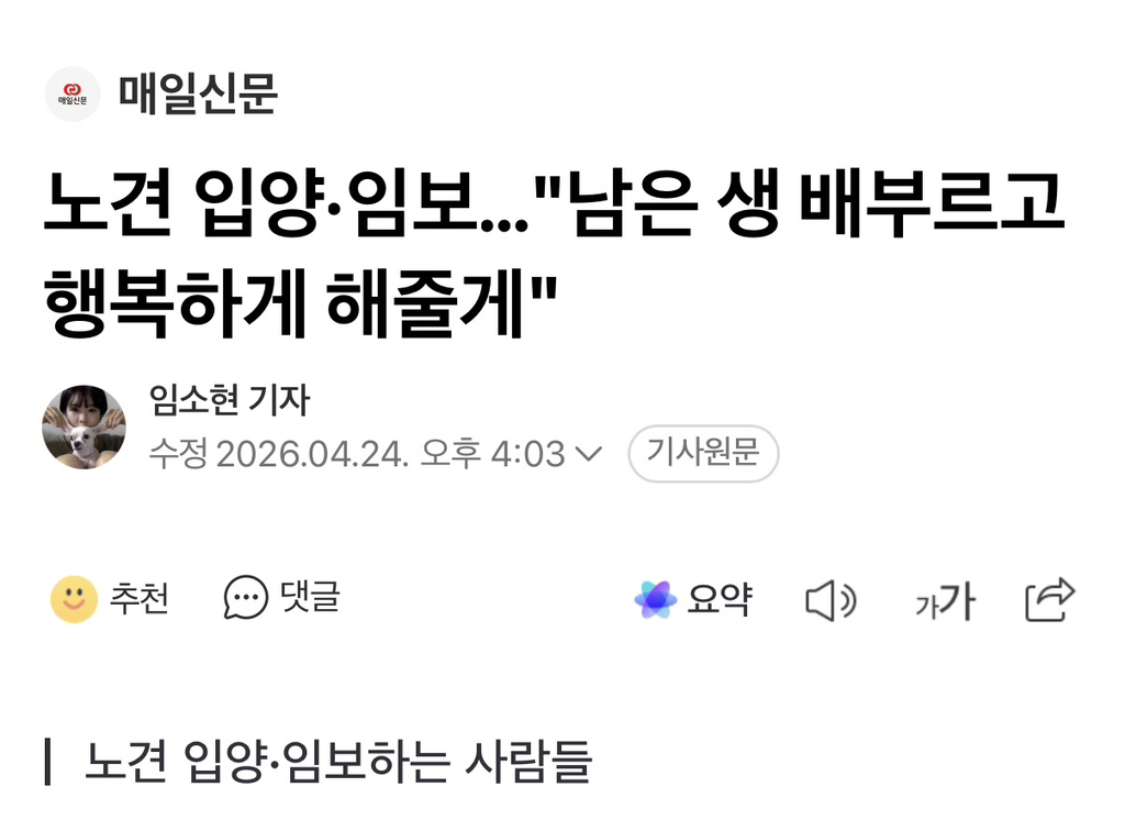 노견 입양·임보…"남은 생 배부르고 행복하게 해줄게" | 인스티즈