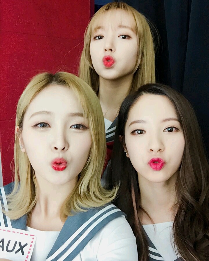 꽃길만 걷고싶은 그대들의 우주소녀 | 인스티즈