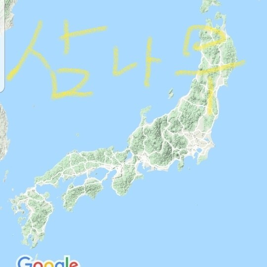 일본은 나라 전체에 삼나무를 심었다 ㅡ 미들이다 | 인스티즈