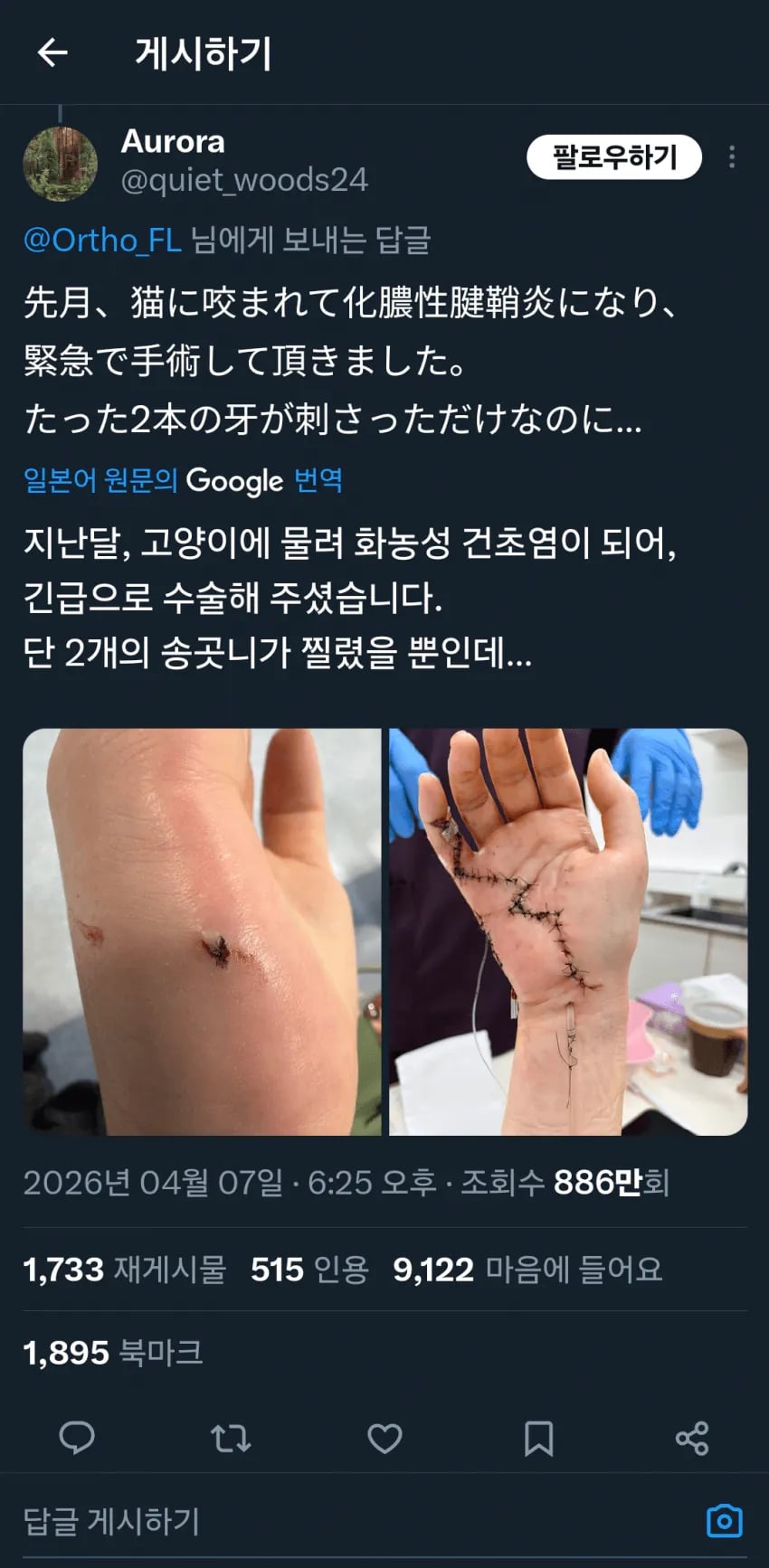 (혐) 고양이 물림사고의 위험성.jpg | 인스티즈