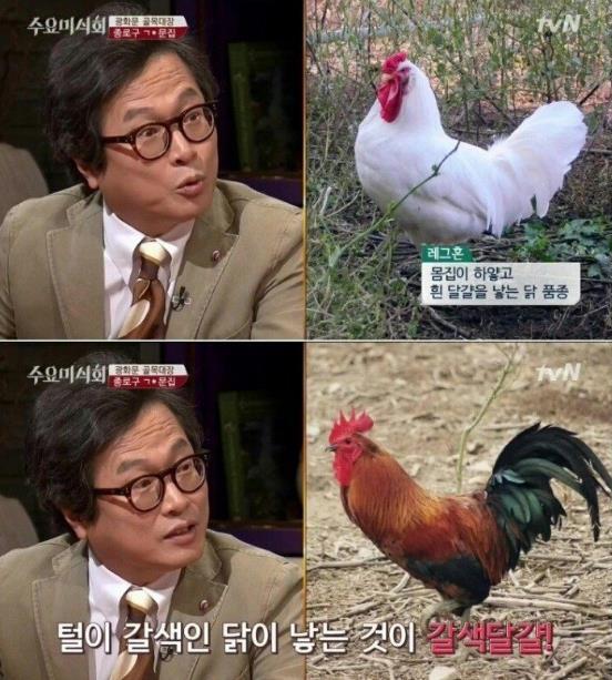 한국 계란말이가 맛없는 이유 | 인스티즈
