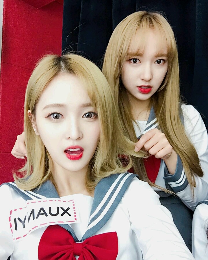 꽃길만 걷고싶은 그대들의 우주소녀 | 인스티즈