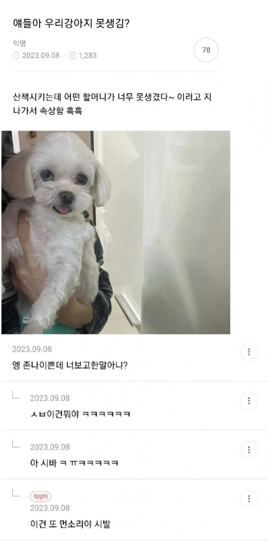 얘들아 우리 강아지 못생김?? | 인스티즈