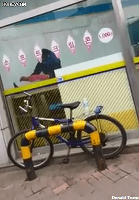 편의점 알바중 비둘기가 들어왔다...gif | 인스티즈