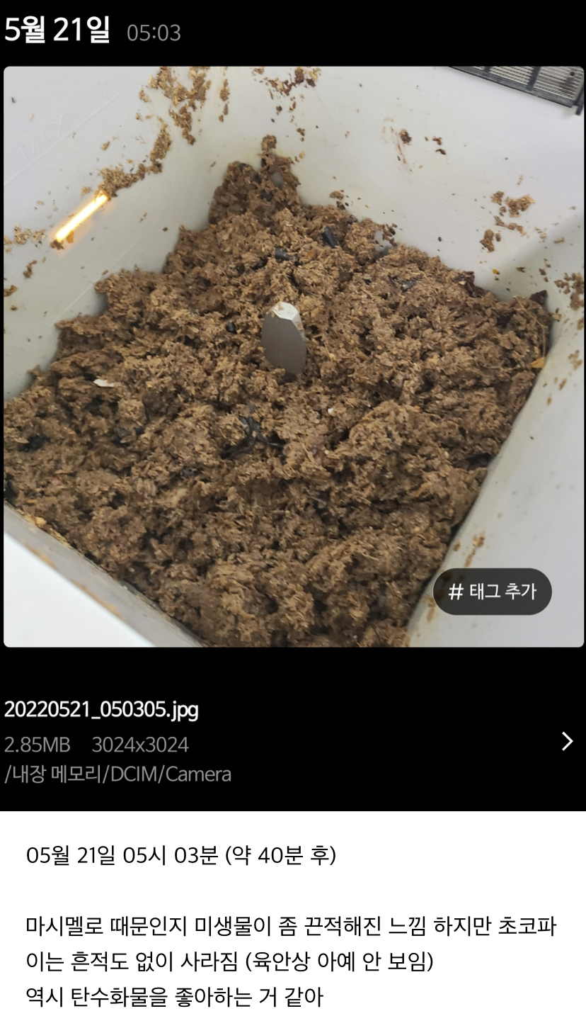 미생물 처리기에 음쓰 이것저것 많이 넣어본 후기 | 인스티즈