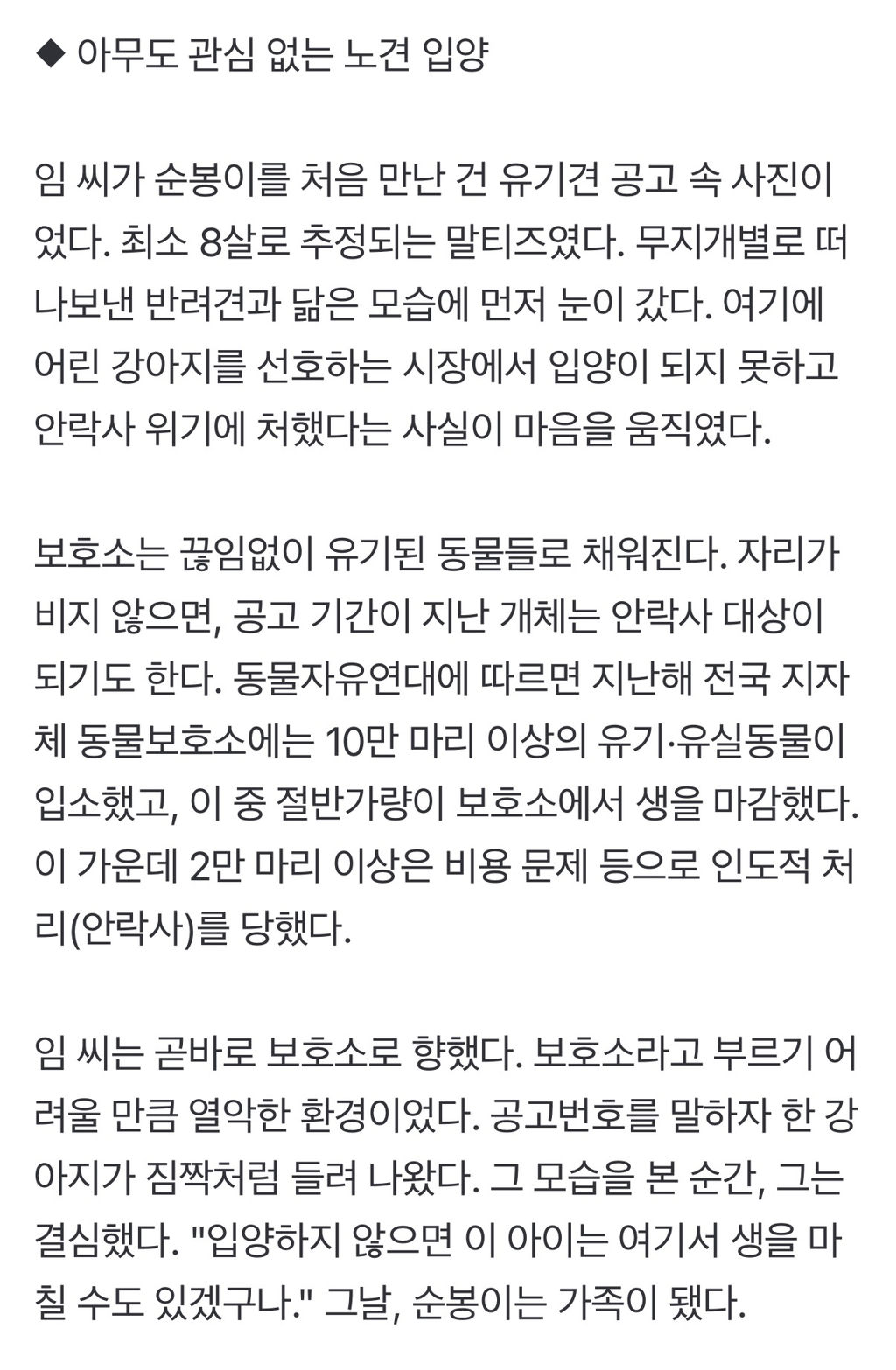 노견 입양·임보…"남은 생 배부르고 행복하게 해줄게" | 인스티즈
