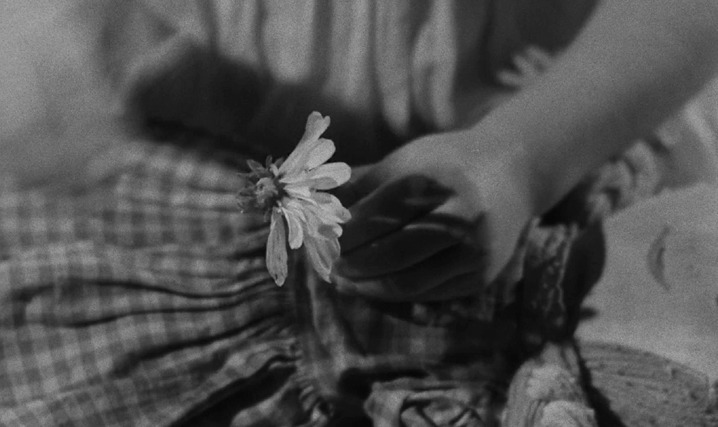 몽상가들에게 영화 추천 사냥꾼의 밤 1955 | 인스티즈