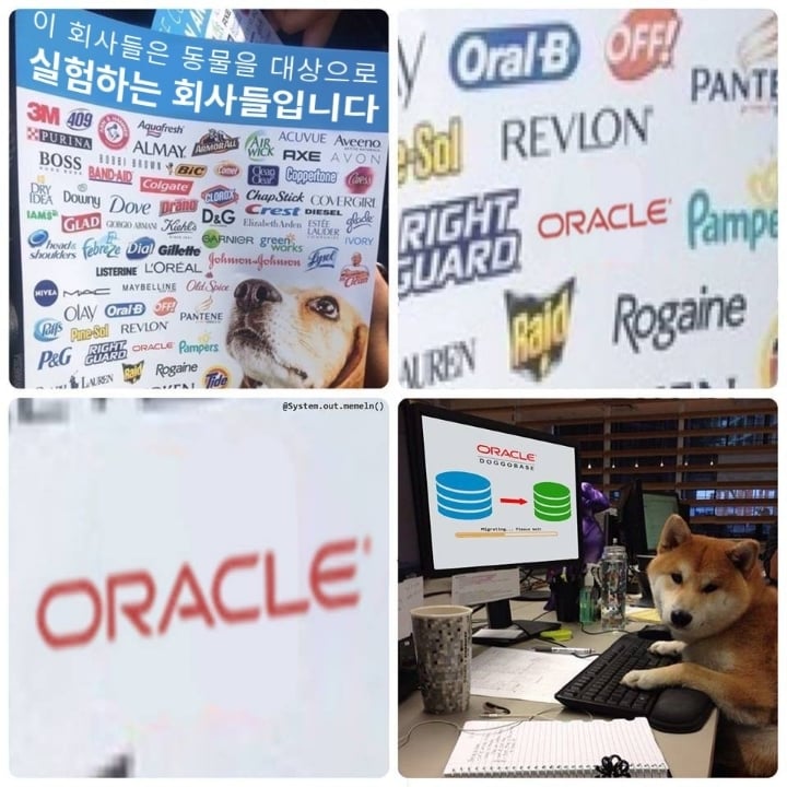컴공만 이해하는 짤 모음.jpg | 인스티즈