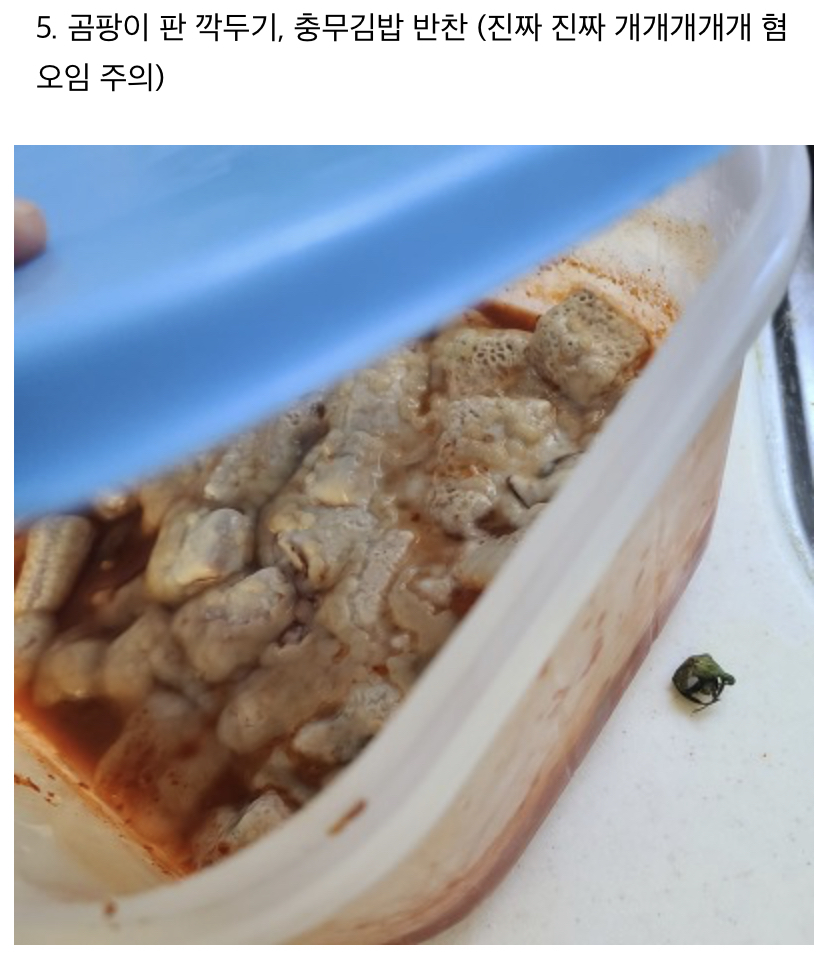 미생물 처리기에 음쓰 이것저것 많이 넣어본 후기 | 인스티즈
