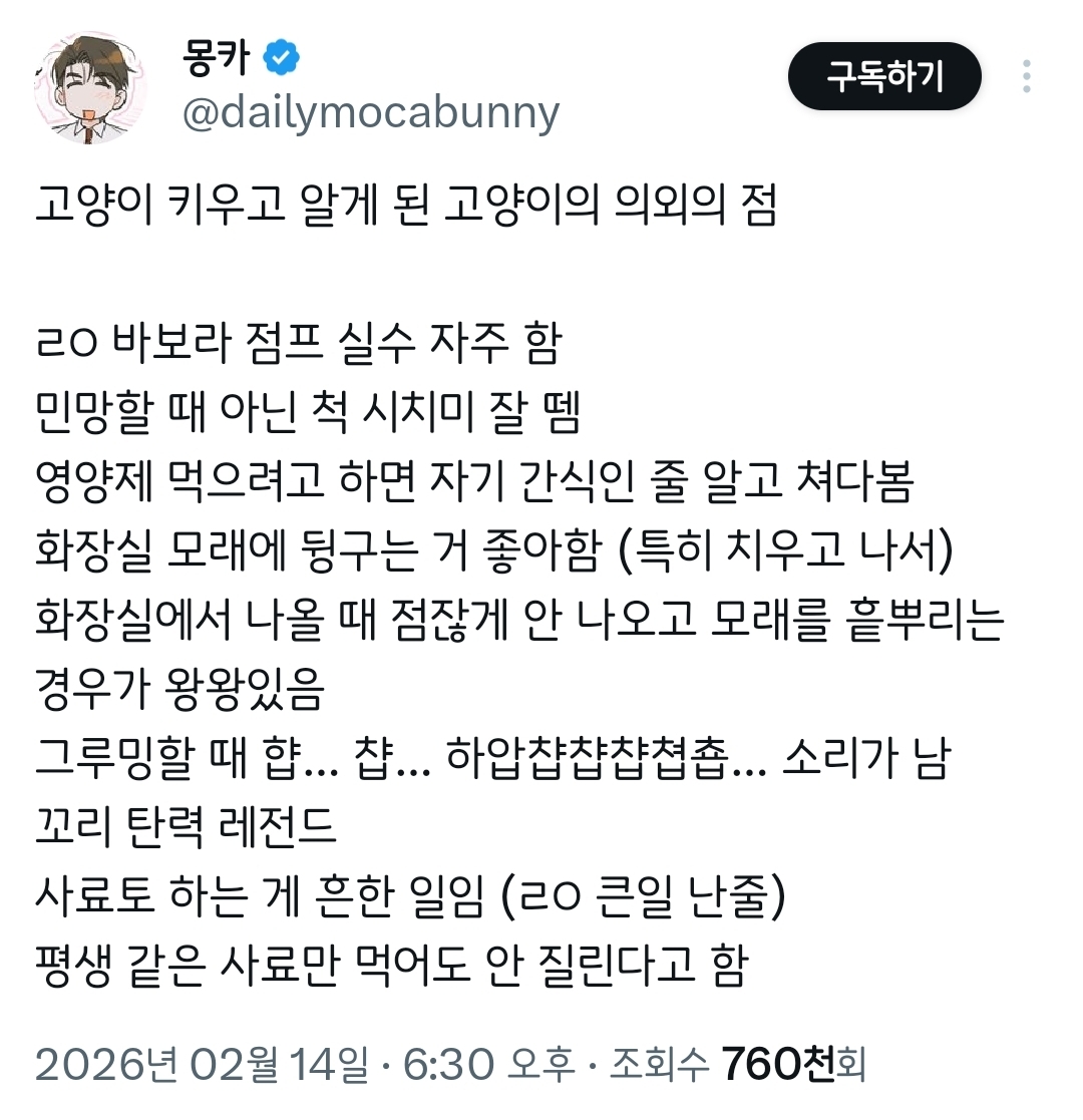 고양이 키우고 알게 된 고양이의 의외의 점.twt | 인스티즈