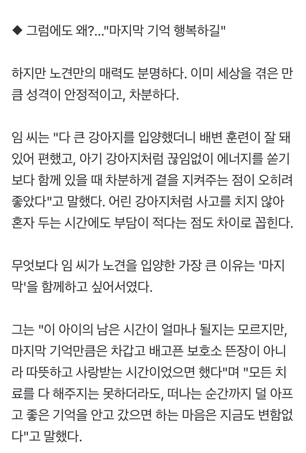 노견 입양·임보…"남은 생 배부르고 행복하게 해줄게" | 인스티즈