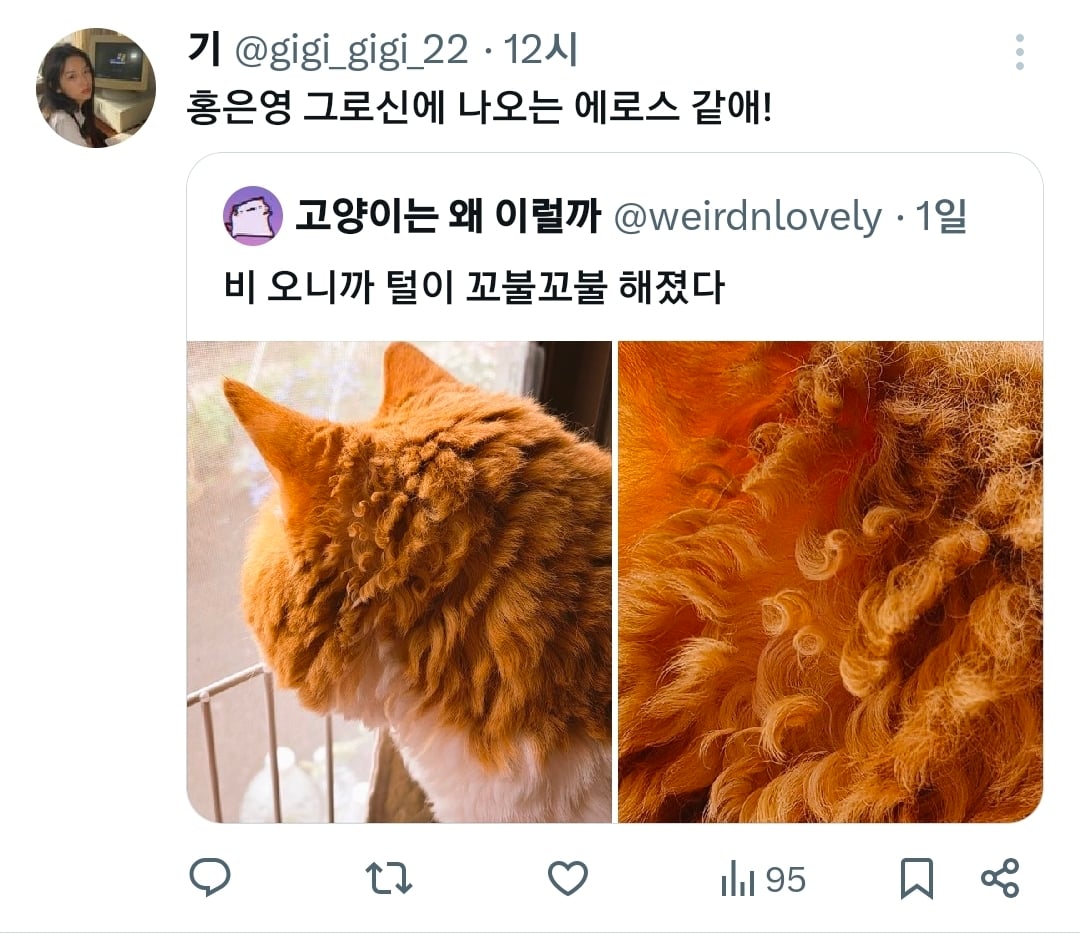 비오니까 털이 꼬불꼬불해진 고양이.x | 인스티즈