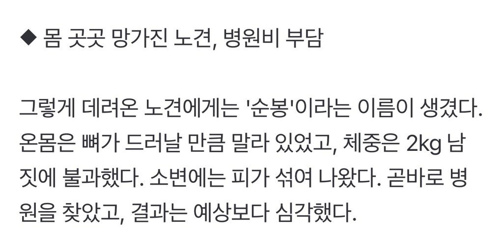 노견 입양·임보…"남은 생 배부르고 행복하게 해줄게" | 인스티즈