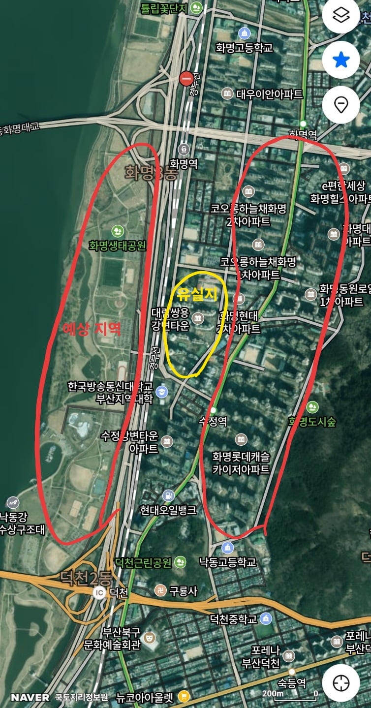 🚨입양자가 배변문제로 파양 의사 밝힌 지 두 시간 만에 유실한 벨라를 찾아요🚨 | 인스티즈