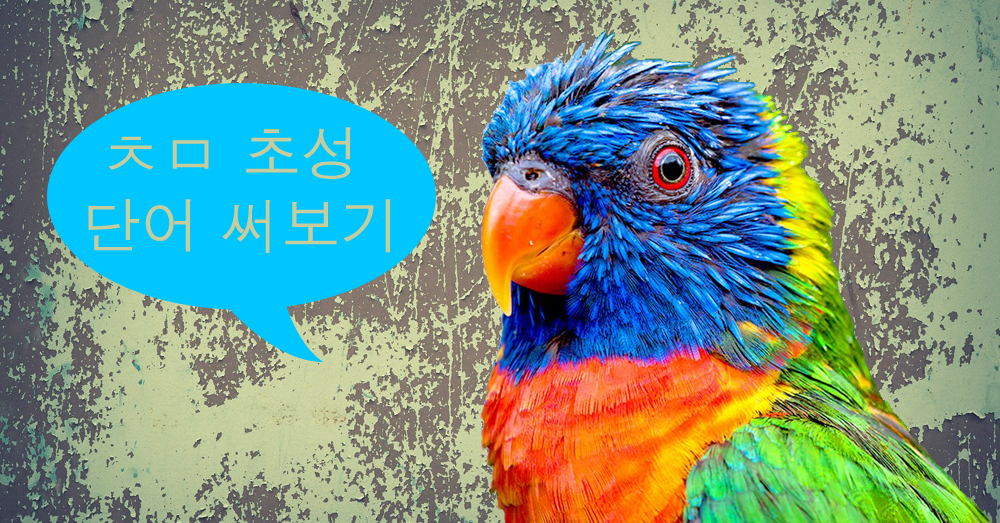ㅊㅁ 초성 써보기 | 인스티즈