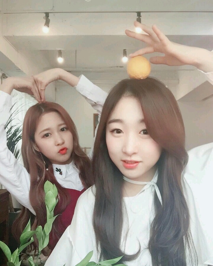 꽃길만 걷고싶은 그대들의 우주소녀 | 인스티즈