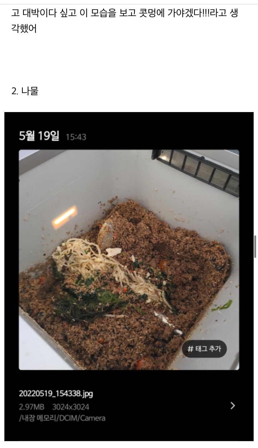 미생물 처리기에 음쓰 이것저것 많이 넣어본 후기 | 인스티즈