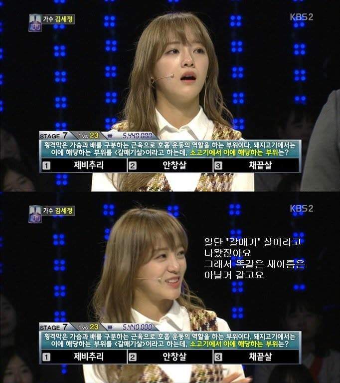 김세정 KBS 1 대 100 문제 기적의 논리.jpg | 인스티즈