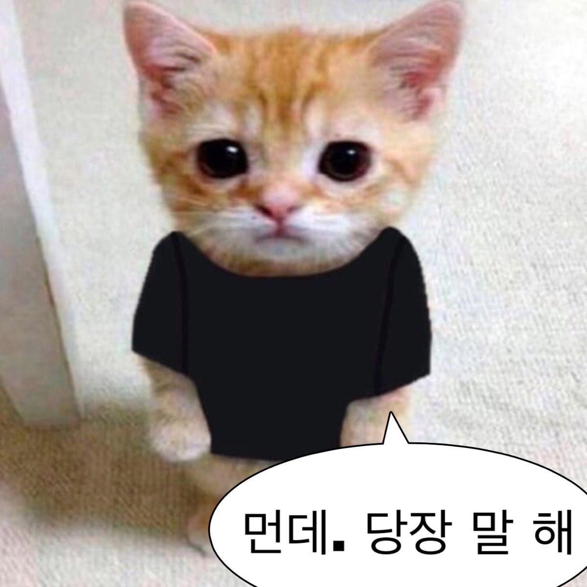 12간지 아닌데요 60간지인데요 | 인스티즈