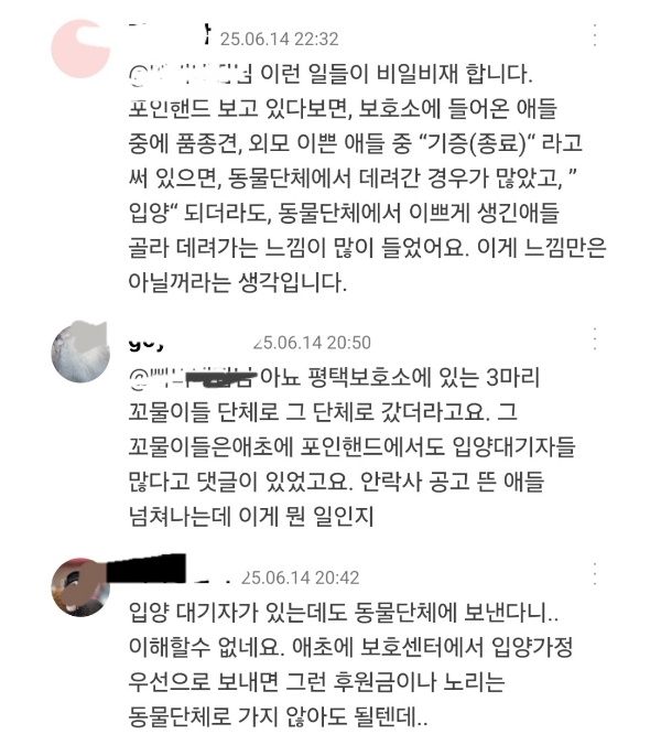 유기견 입양하려다가 유기동물보호단체 민낯을본 후기 | 인스티즈