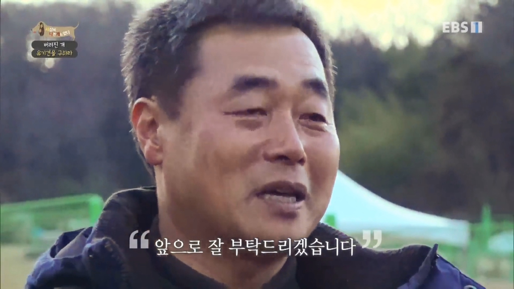[세나개] 유기견 보호소 촬영 중 유기견 입양한 제작진 (+ 근황) | 인스티즈