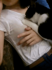 꾹꾹이 해주는 고양이들.GIF | 인스티즈