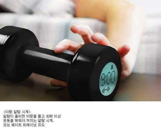ㄹㅇ 잠이 깰 수 밖에 없는 알람시계 | 인스티즈