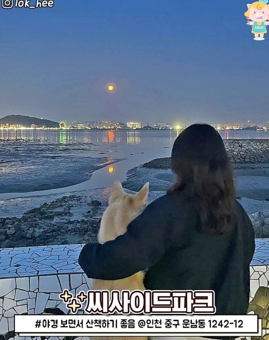 인천 야경 명소 12곳 | 인스티즈