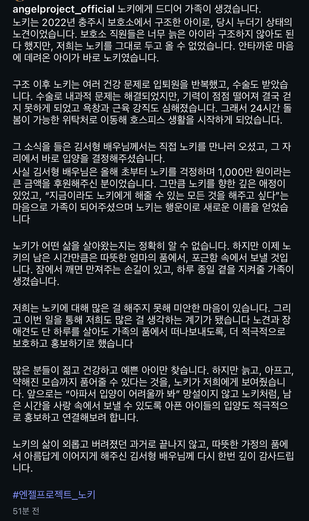 나이많은 유기견 '노키'를 입양한 배우 김서형 | 인스티즈